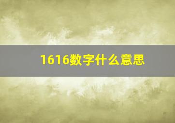 1616数字什么意思