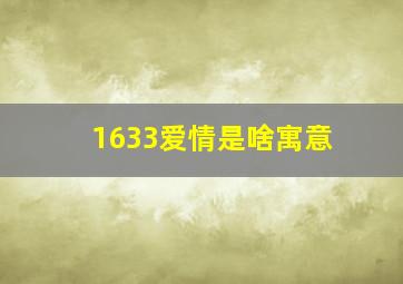 1633爱情是啥寓意