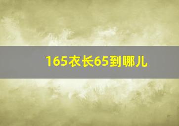 165衣长65到哪儿