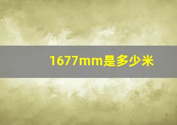 1677mm是多少米