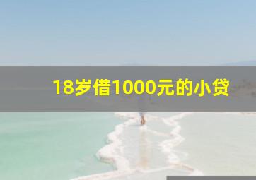 18岁借1000元的小贷