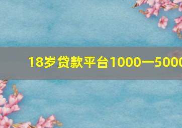 18岁贷款平台1000一5000