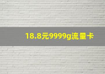 18.8元9999g流量卡