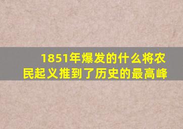 1851年爆发的什么将农民起义推到了历史的最高峰