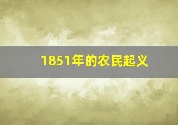 1851年的农民起义