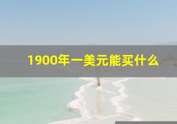 1900年一美元能买什么