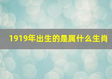 1919年出生的是属什么生肖