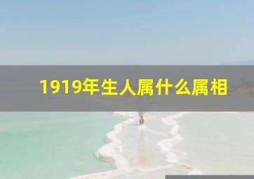 1919年生人属什么属相