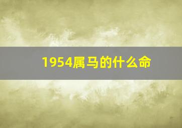 1954属马的什么命