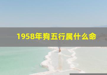 1958年狗五行属什么命