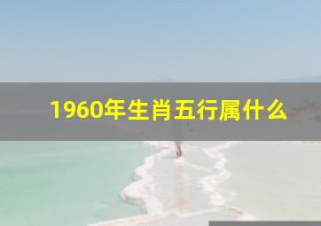 1960年生肖五行属什么