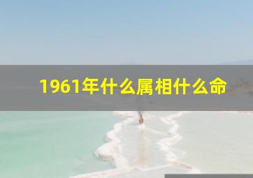 1961年什么属相什么命