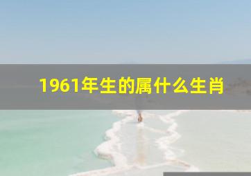 1961年生的属什么生肖