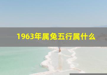 1963年属兔五行属什么