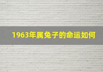 1963年属兔子的命运如何