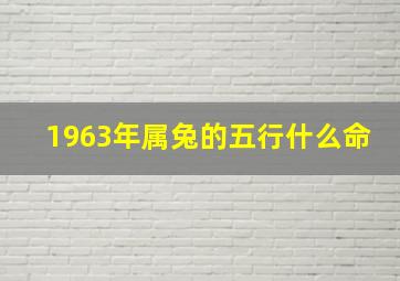 1963年属兔的五行什么命