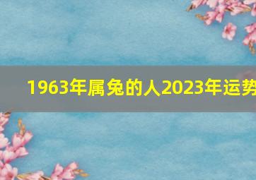 1963年属兔的人2023年运势