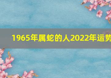 1965年属蛇的人2022年运势