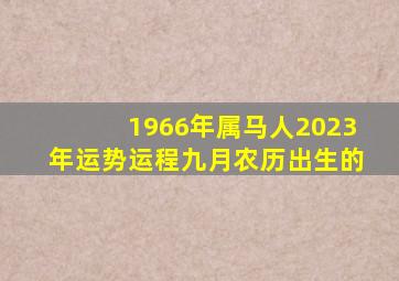 1966年属马人2023年运势运程九月农历出生的