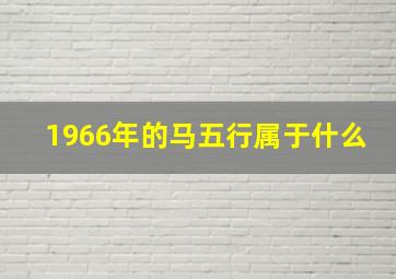 1966年的马五行属于什么