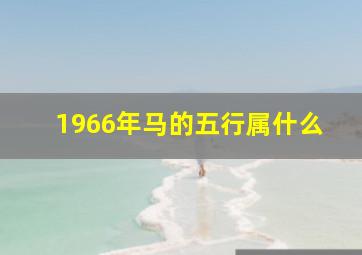 1966年马的五行属什么