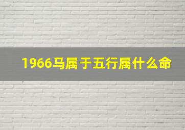 1966马属于五行属什么命