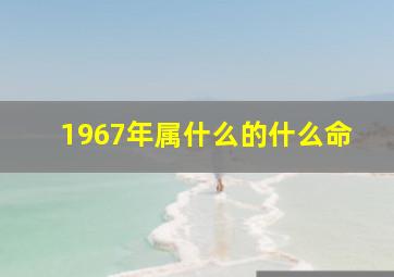 1967年属什么的什么命