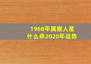 1968年属猴人是什么命2020年运势