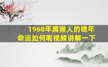 1968年属猴人的晚年命运如何呢视频讲解一下