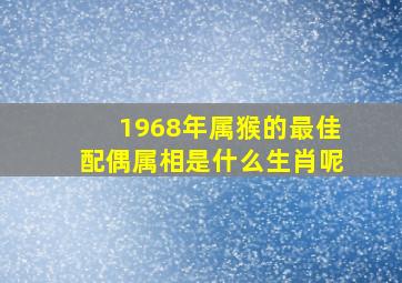 1968年属猴的最佳配偶属相是什么生肖呢