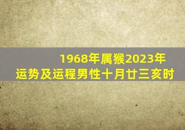 1968年属猴2023年运势及运程男性十月廿三亥时