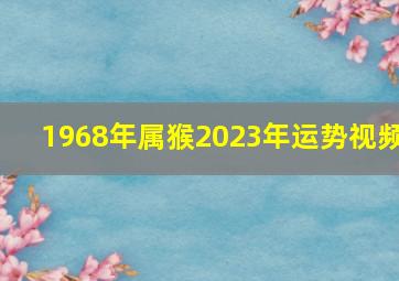 1968年属猴2023年运势视频