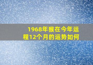 1968年猴在今年运程12个月的运势如何