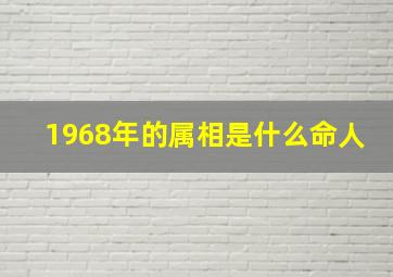 1968年的属相是什么命人