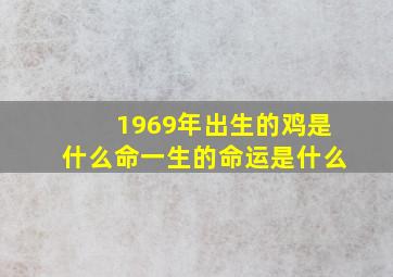 1969年出生的鸡是什么命一生的命运是什么