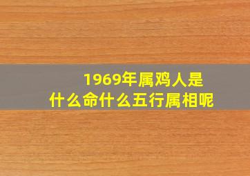 1969年属鸡人是什么命什么五行属相呢