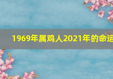 1969年属鸡人2021年的命运