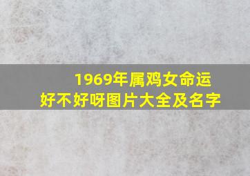 1969年属鸡女命运好不好呀图片大全及名字