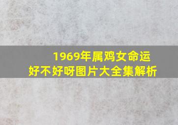 1969年属鸡女命运好不好呀图片大全集解析