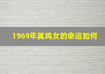 1969年属鸡女的命运如何