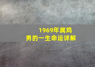 1969年属鸡男的一生命运详解