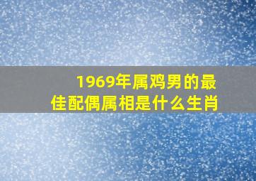 1969年属鸡男的最佳配偶属相是什么生肖