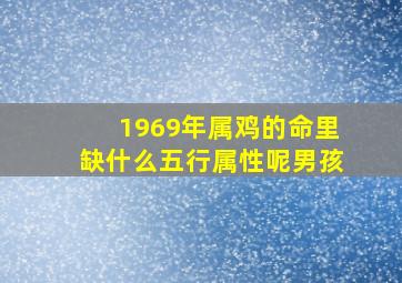 1969年属鸡的命里缺什么五行属性呢男孩