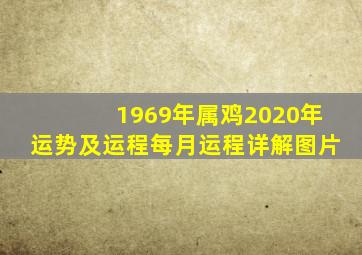 1969年属鸡2020年运势及运程每月运程详解图片