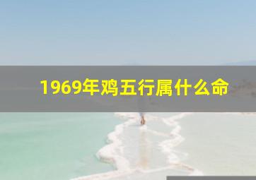 1969年鸡五行属什么命