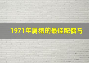 1971年属猪的最佳配偶马