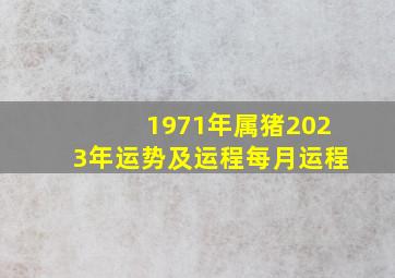 1971年属猪2023年运势及运程每月运程