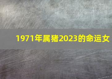 1971年属猪2023的命运女