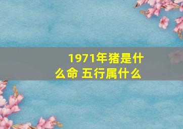 1971年猪是什么命 五行属什么