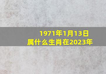 1971年1月13日属什么生肖在2023年